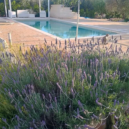 Trullo Del Sol Country house Ceglie Messapica